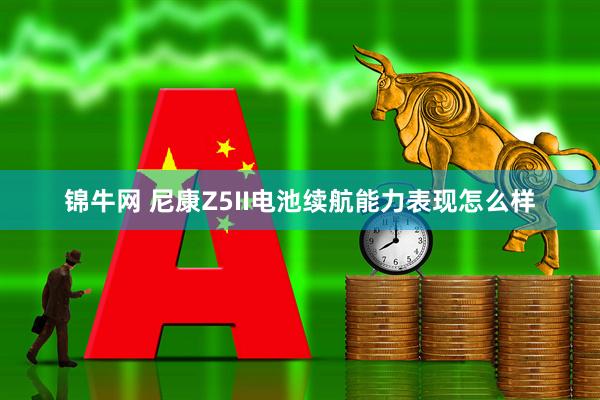 锦牛网 尼康Z5II电池续航能力表现怎么样