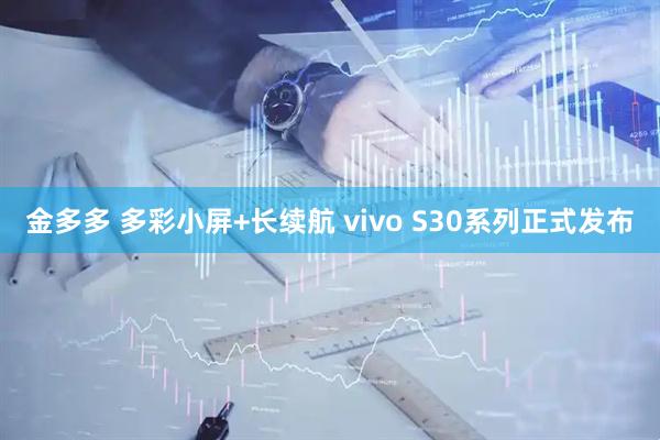 金多多 多彩小屏+长续航 vivo S30系列正式发布