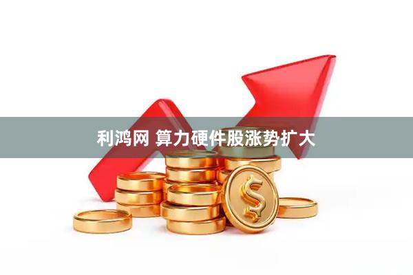 利鸿网 算力硬件股涨势扩大