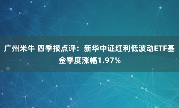 广州米牛 四季报点评：新华中证红利低波动ETF基金季度涨幅1.97%